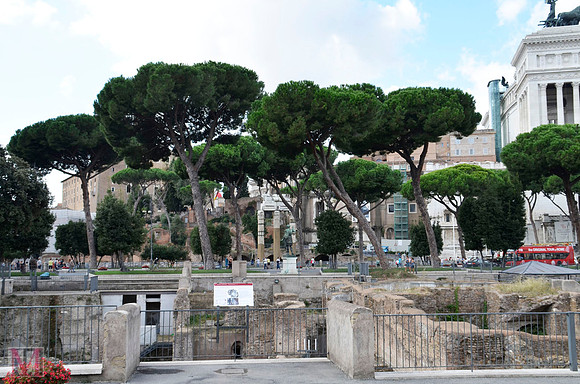 ROME 2014