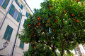 SANREMO, ITALY