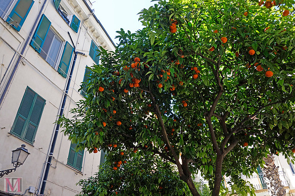 SANREMO, ITALY