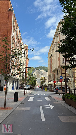 Bilbao Guggenheim museum