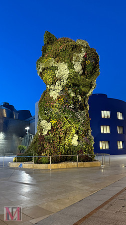 Bilbao Guggenheim museum
