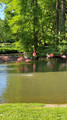 Faenza Flamingos, Italy 2025