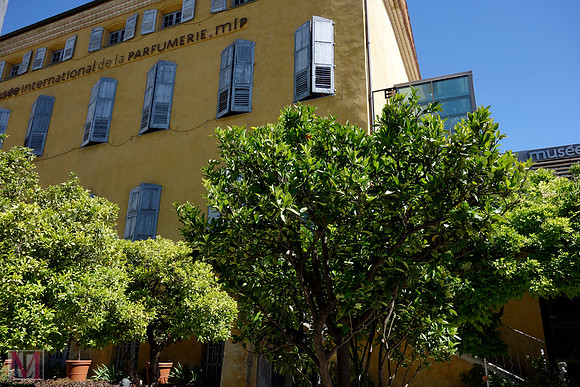 GRASSE, FRANCE