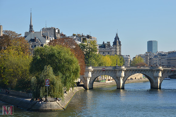 Ile (island) de la Cite and Pont Neuf