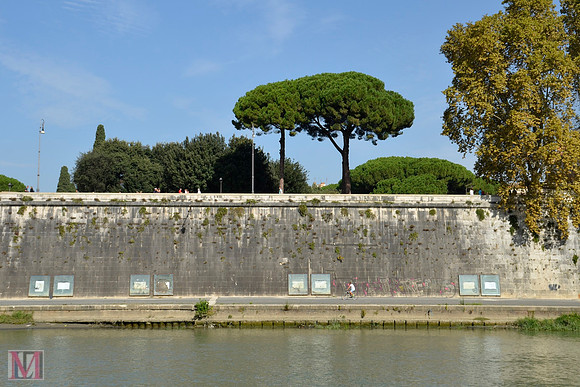 ROME 2014