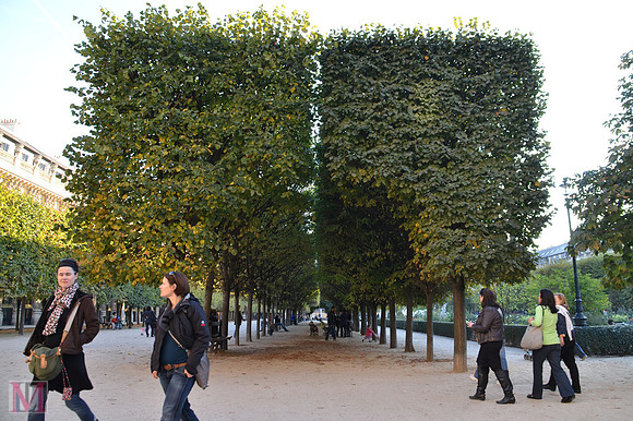 Palais Royal Garden