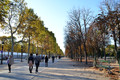 Avenue des Champs Elysees