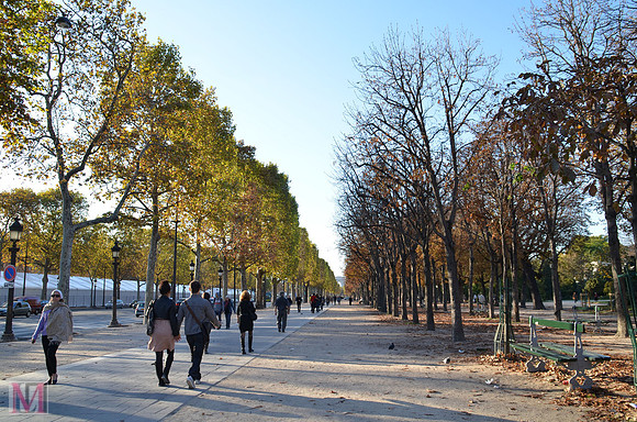 Avenue des Champs Elysees