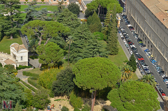 ROME 2014