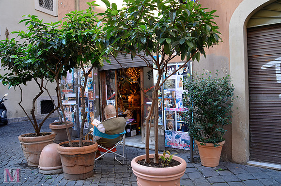 ROME 2014