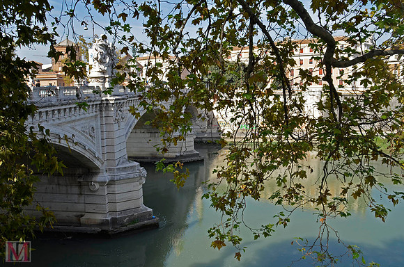 ROME 2014