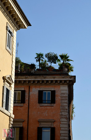 ROME 2014