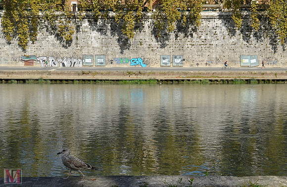 ROME 2014
