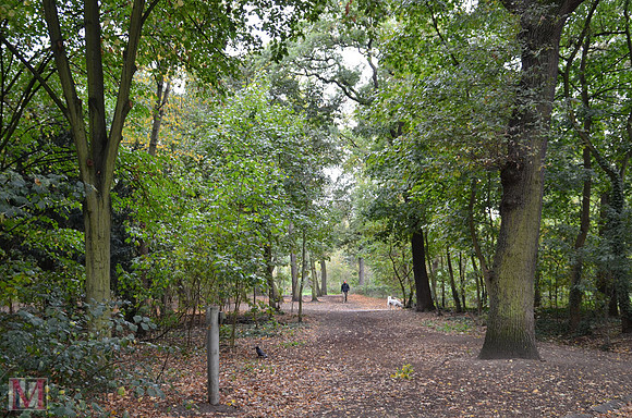 Bois de Boulogne