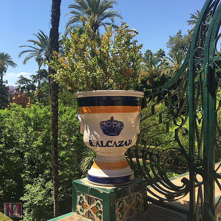 Real Alcazar - The Royal Palace of Seville (the rest of the album)