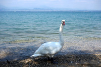 Lake Garda, Italy May 2017
