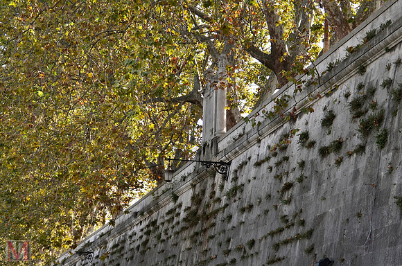 ROME 2014